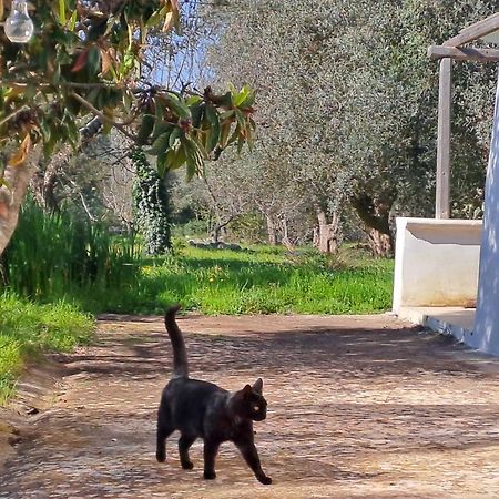 Villa Casa Baronessa à Ceglie Messapica Extérieur photo