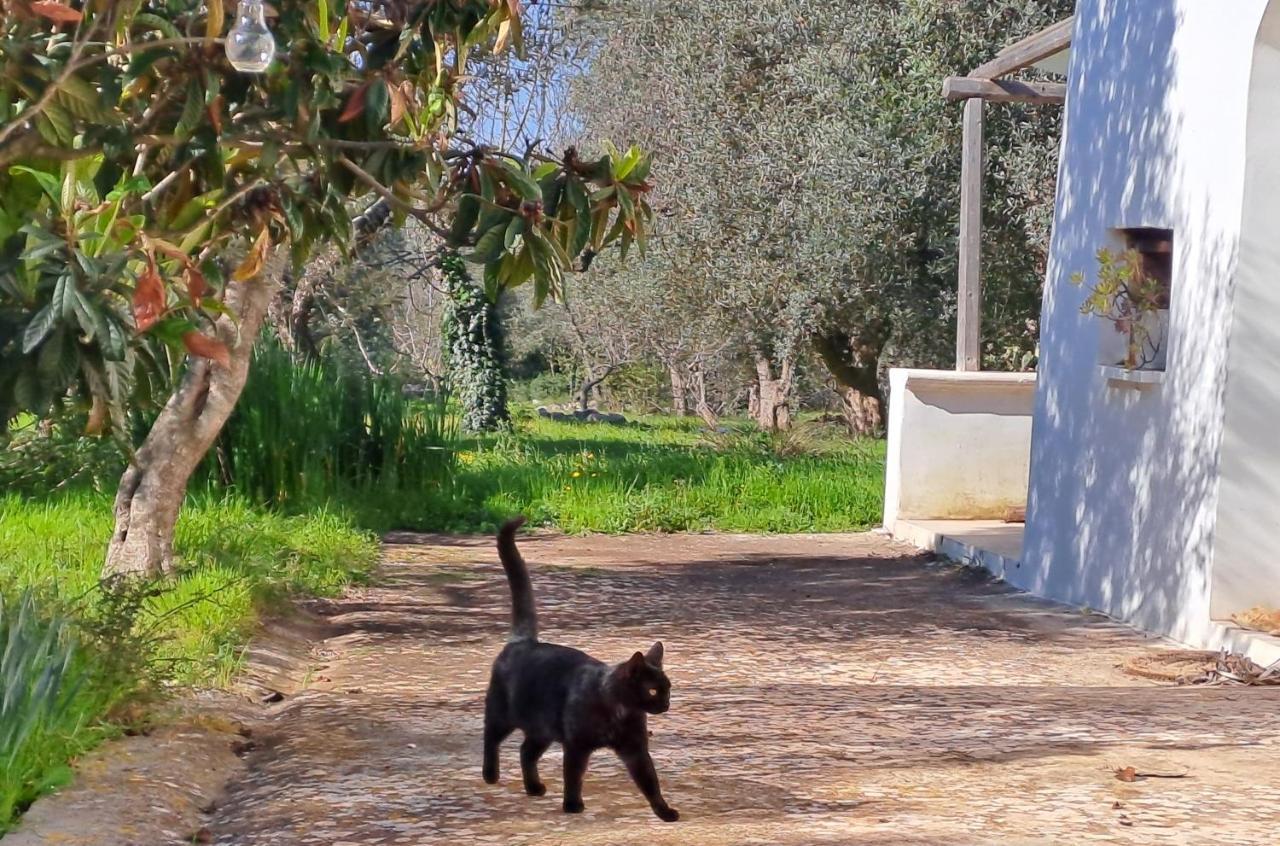 Villa Casa Baronessa à Ceglie Messapica Extérieur photo